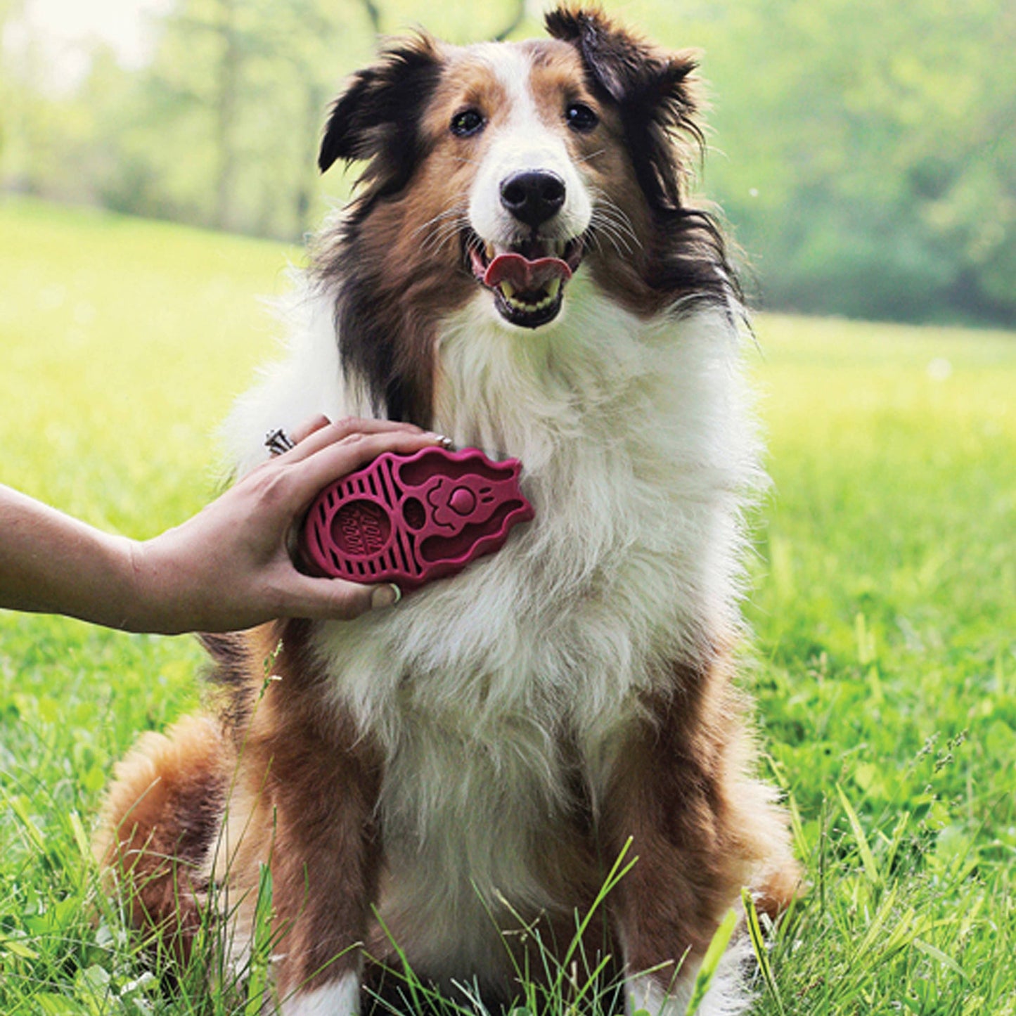 KONG® ZoomGroom® Raspberry Brush Large