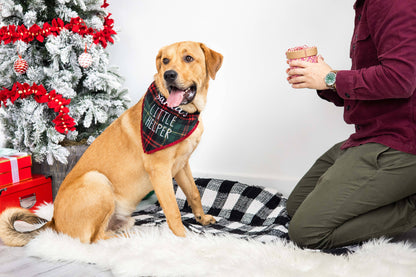 Pearhead "Santa's Little Helper" Bandana