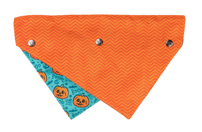 FuzzYard Bandana Jack Jack Jackie Lantern Teal: S/M